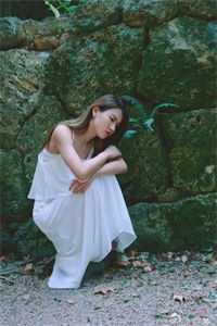 北疆月沉雪已落全文+免费