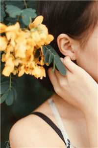 唯愿来生不见君傅谨言宋知宁前文+后续