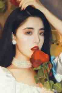 你是明雾亦是灯火畅销巨著