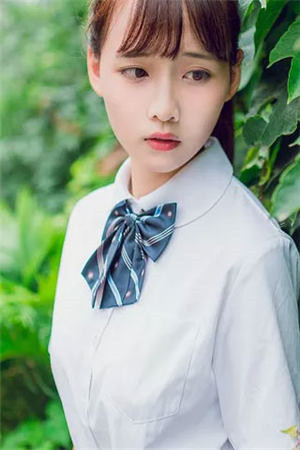 斯人若明月千里全文+免费