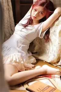 久别重逢，藏地佛子入红尘小说