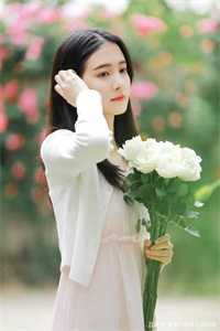 唯愿来生不见君异常火爆