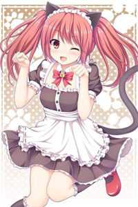 不当销冠后，妻子公司破产了沈星辰林雪樵大结局