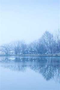 浮生如梦初醒章节