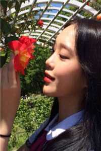 谁与明月共度韶华小说免费