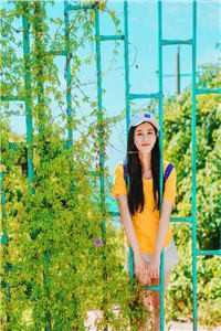 西平风起云未舒必读文