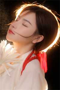 爱已成碑小说畅读