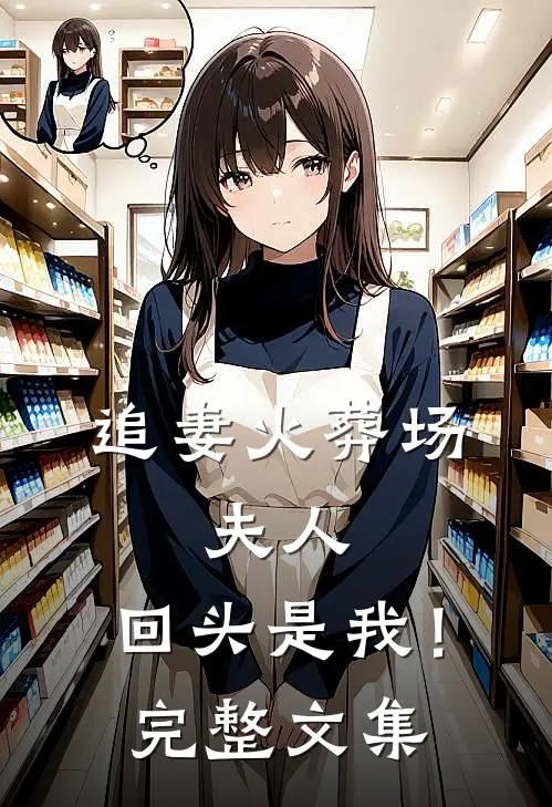 追妻火葬场夫人,回头是我!完整文集