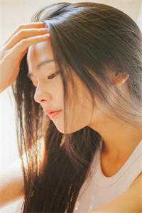 我寄相思于悲风全本小说推荐