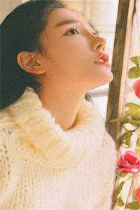 风雪夜归，爱意搁浅完整作品