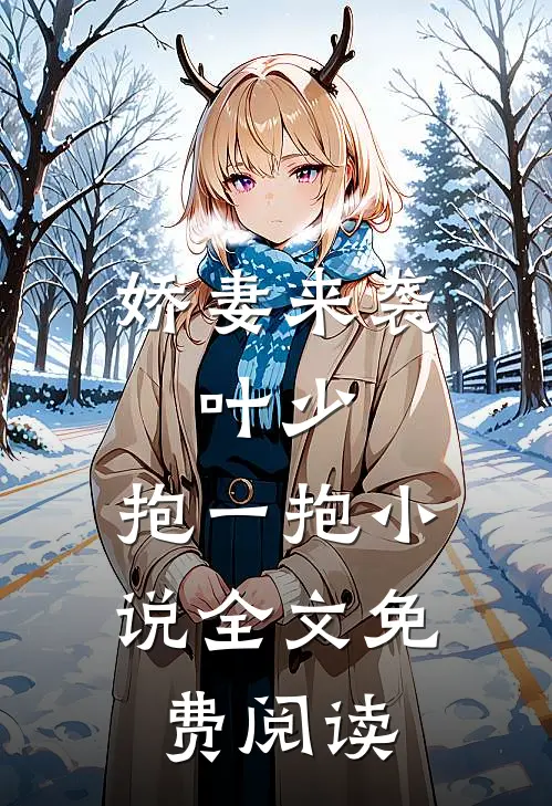 娇妻来袭叶少,抱一抱全文免费阅读无弹窗