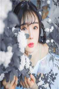 爱意坠星河全文章节