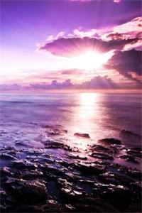 半帘月色醉浮生未删节