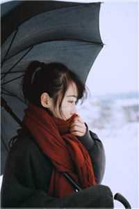 余生不遇旧时风全局