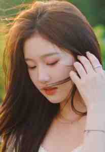 南城积雪已成空全新