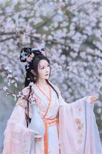 红楼：曹贼好书