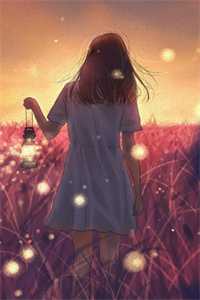 情似流萤，陨于长夜后续+番外