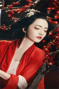 海边的风吹不到雪山顶小说全文免费