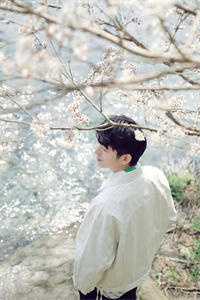 泱泱三千恨阅读