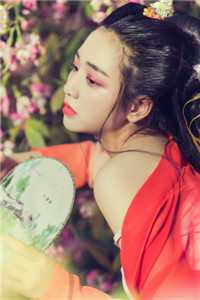 在繁花千里时落幕秦照曦乔茵全文免费