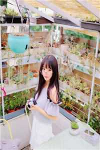 从此再无我们小说全文免费阅读