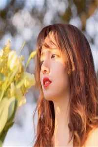 心似雨湿青苔顾修远沈语棠小说