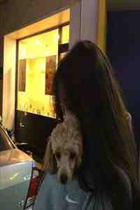 地府软饭王，我有九个美娇娘无删减