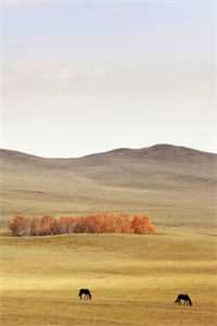 高考填报志愿截止前一刻，养子将我亲女儿的志愿全换成大专无删减版