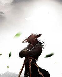 愿为西南风，长逝离君怀未删减版