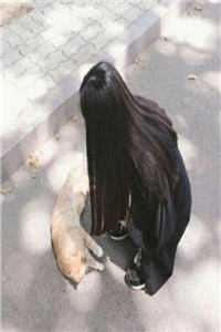 冤种丫鬟重生后完整