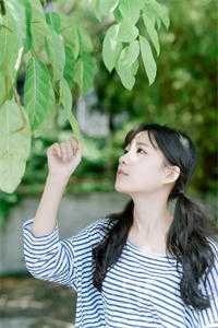 一灯破暗已完结版