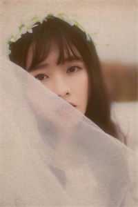 红楼：曹贼良心推荐