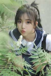晚风与你，皆已散去宋泊谦方栖夏全文免费