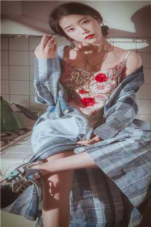 一灯破暗完整阅读