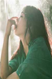 杨过：这次，换我来守护桃花岛全文