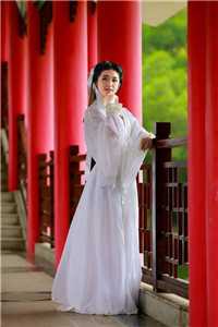 雪域长冬小说在线阅读免费