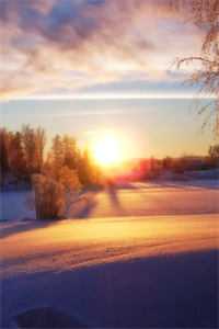 离开渣夫后，她创业养崽成为企业家阅读