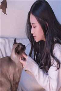 风要飞往辽阔天空无删减