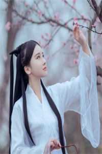 十万年终奖变一百，上岸市监署后我杀疯了全集