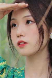 她也曾踏雪而来完结文