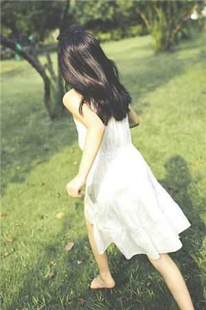 春风如过客，秋水揽星河小说大结局