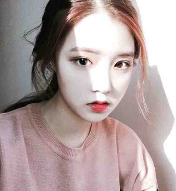 校园里看透人心，乡野间积累财富小说畅读