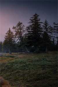 青梅有悲秋症，我把丈夫葬在冬天的小说