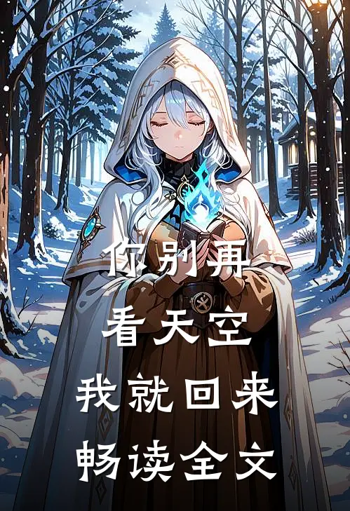 你别再看天空,我就回来畅读全文