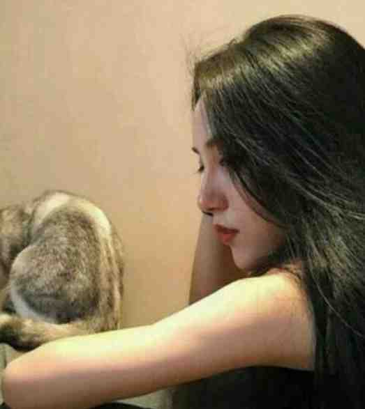 西平风起云未舒番外