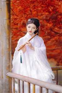 老婆逼我把总裁位子让给初恋后，一夜破产了小说免费