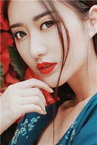 八年逃避，相爱的人难逃情劫盛以清南嘉意希前文+后续