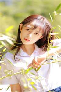 春如旧，人空瘦畅读