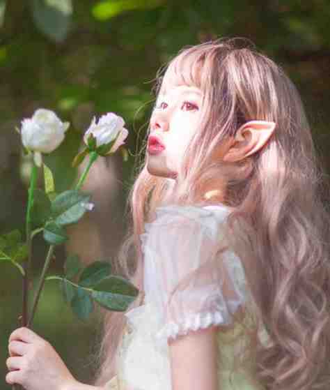 谁愿与你重蹈覆辙热门小说