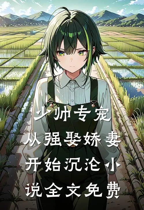 少帅专宠：从强娶娇妻开始沉沦小说全文免费